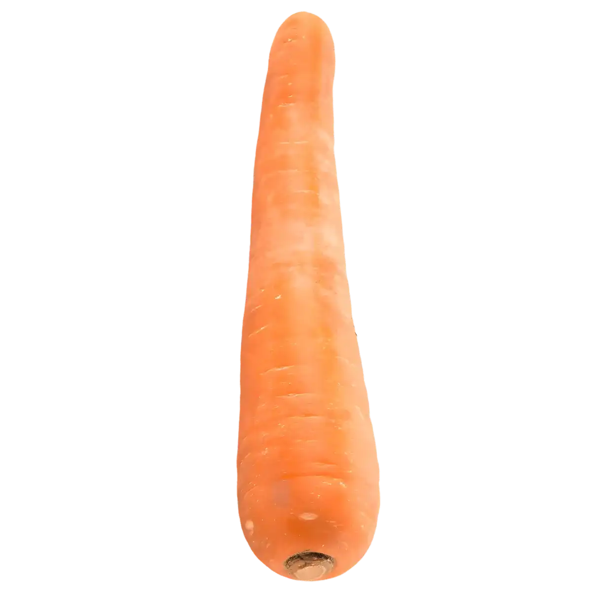 Carotte entière bio fraîche, riche en nutriments, idéale pour une alimentation saine et naturelle. Produit frais du rayon fruits et légumes.